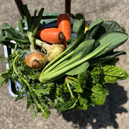 【三浦】旬の三浦野菜の恵みを味わう、YOSHIDA cafeの美味しい朝ごはんの理由